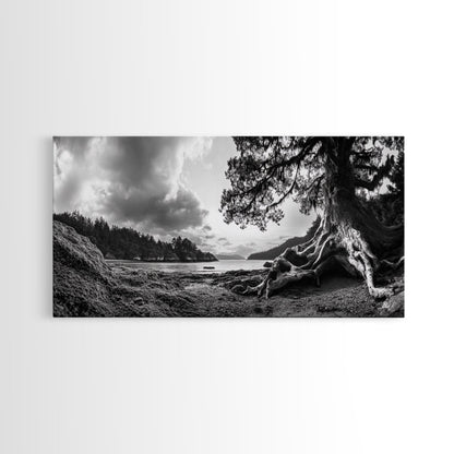 Coastal Tree Roots, Ancient Forest Shore, Pacific Northwest Nature, Moody Black and White Canvas Print, Cabin Wall Art, Woodland Style
