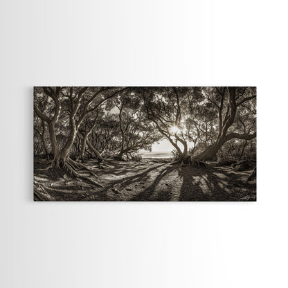 Verzauberter Wald – Licht, Baumschatten, Naturlandschaft, gerahmter Leinwanddruck, rustikale Wandkunst, Walddeko für den Eingangsbereich, Boho-Walddruck