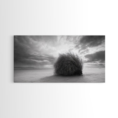 Tumbleweed, Desert Beach, Moody Sky, Solitary Calm, Framed Canvas Print, minimalist desert wall art, western Fall decor, neutral tones