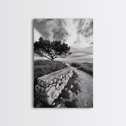 Coastal Path, Nature Trail, Windswept Tree, Framed Canvas Print, Rustic Landscape Art, Minimalist Decor, Bedroom Wall Art, Fall Vibes