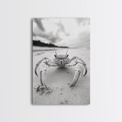 Beach Crab Portrait, Closeup Ocean Art, Tropical Minimalism, Coastal Creature Photo, Framed Canvas Print, Bathroom Wall Decor, Marine Decor