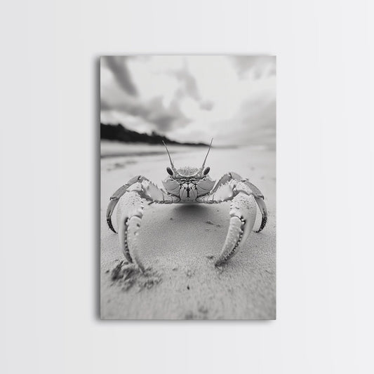 Beach Crab Portrait, Closeup Ocean Art, Tropical Minimalism, Coastal Creature Photo, Framed Canvas Print, Bathroom Wall Decor, Marine Decor