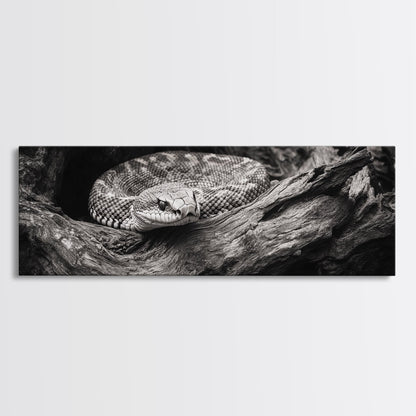 Coiled Rattlesnake, Wild Nature, Black and White, Canvas Print, Rustic Decor, Man Cave Wall Art, Cabin Style, Animal Photography, Moody Art