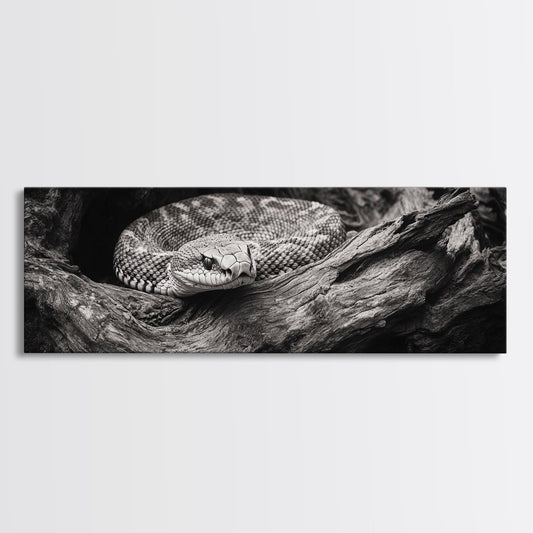 Coiled Rattlesnake, Wild Nature, Black and White, Canvas Print, Rustic Decor, Man Cave Wall Art, Cabin Style, Animal Photography, Moody Art