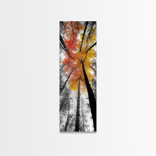 Autumn Trees, Birch Forest, Fall Canopy Print, Nature Photography, Canvas Print, Living Room Decor, Color Pop Wall Art, Forest Magic