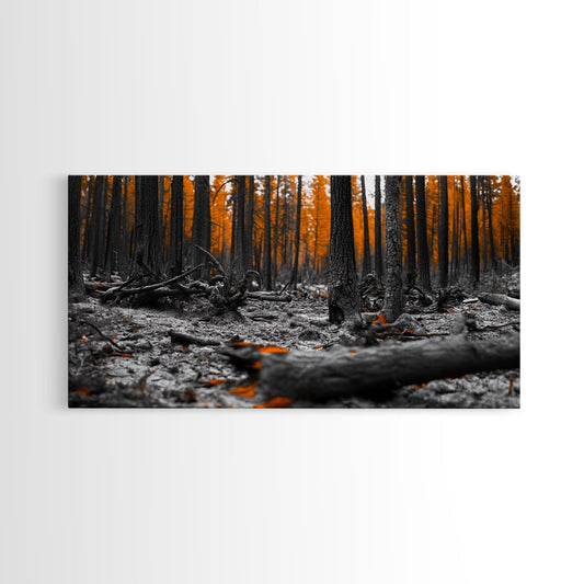 Autumn Forest Floor, Orange Leaves, Fall Nature Scene, Canvas Print, Rustic Wall Art, Cabin Decor, Moody Landscape Framed Canvas Print