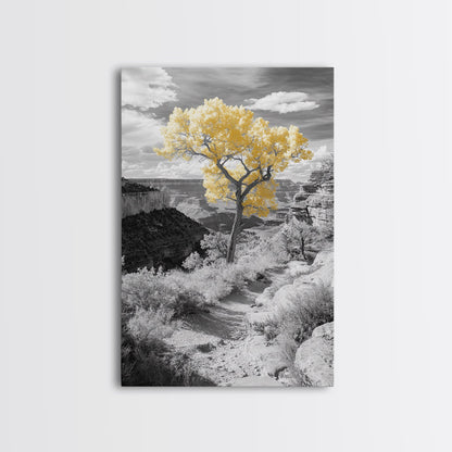 Autumn Canyon Trail, Yellow Tree, Nature Photography, Framed Canvas Print, Fall Wall Decor, Grand Canyon Print, Minimalist Landscape Art
