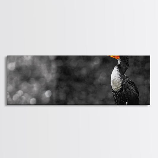 Black White Bird, Orange Beak Detail, Minimal Nature Portrait, Framed Canvas Print, Rustic Wall Art, Study or Cabin Decor