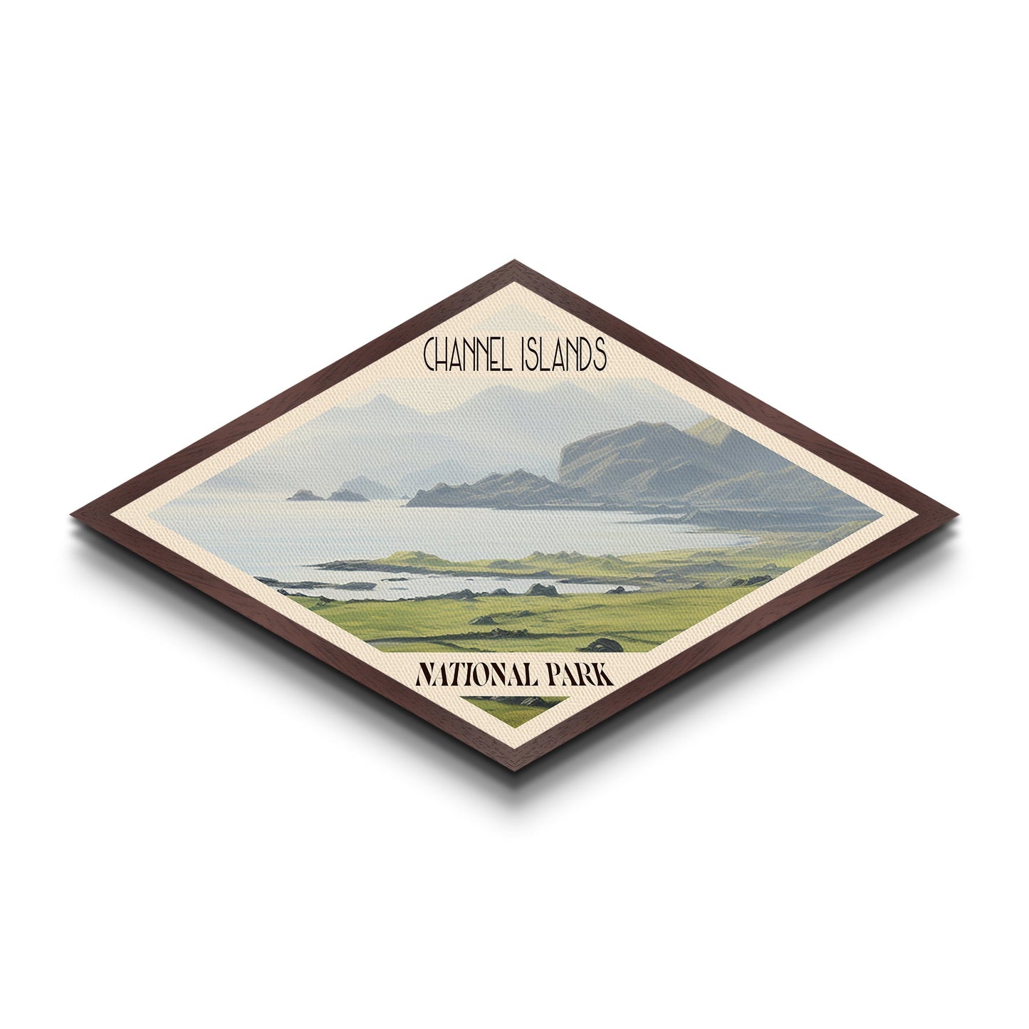 Retro Channel Islands National Park Adventure Poster Canvas Texture Print, Travel Decor, Midcentury Modern Decor California Landscape