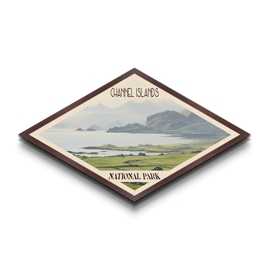 Retro Channel Islands National Park Adventure Poster Canvas Texture Print, Travel Decor, Midcentury Modern Decor California Landscape