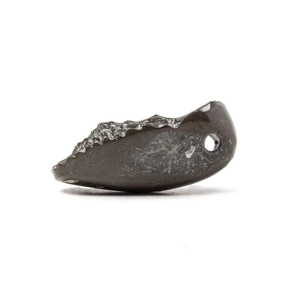 31x13.5mm Pyritized Ammonite  Fossil Focal Bead