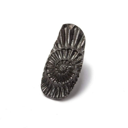 31x13.5mm Pyritized Ammonite  Fossil Focal Bead