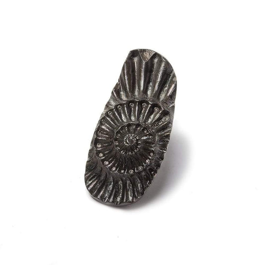 31x13.5mm Pyritized Ammonite  Fossil Focal Bead