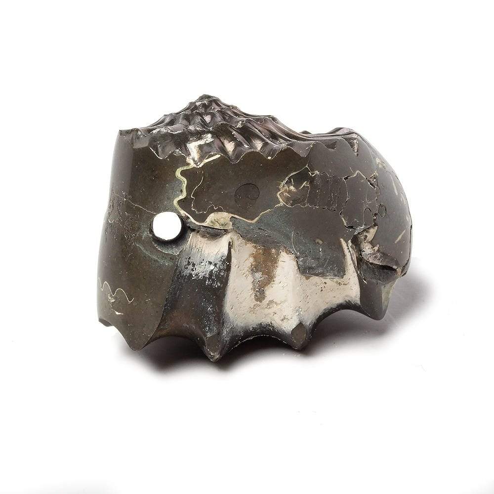 31x26mm Pyritized Ammonite  Fossil Focal Bead