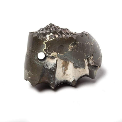 31x26mm Pyritized Ammonite  Fossil Focal Bead