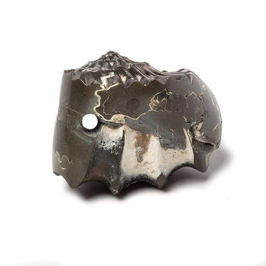 31x26mm Pyritized Ammonite  Fossil Focal Bead