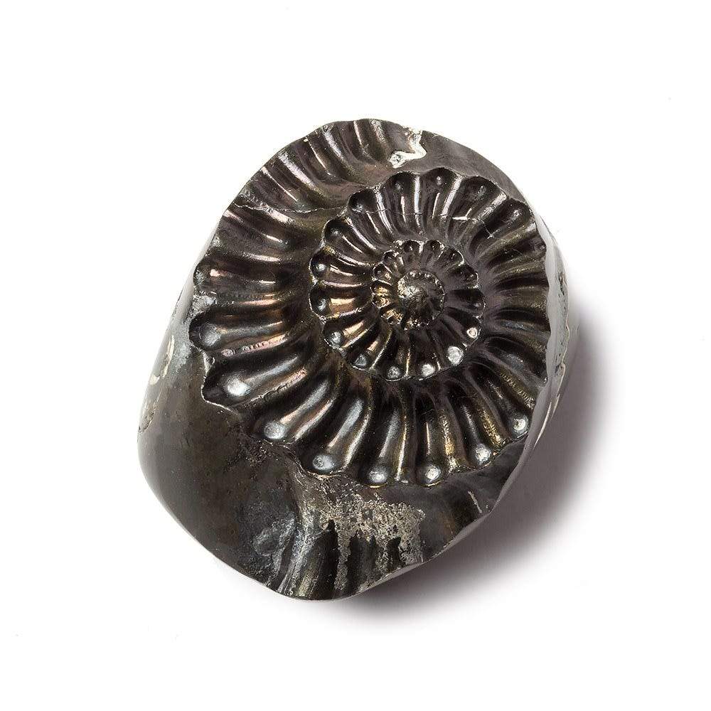 31x26mm Pyritized Ammonite  Fossil Focal Bead