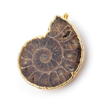33.5x28mm Gold Leafed Ammonite Fossil Pendant 1 focal piece