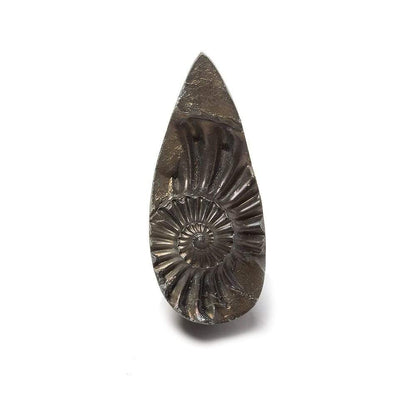 34x15mm Pyritized Ammonite  Fossil Focal Bead