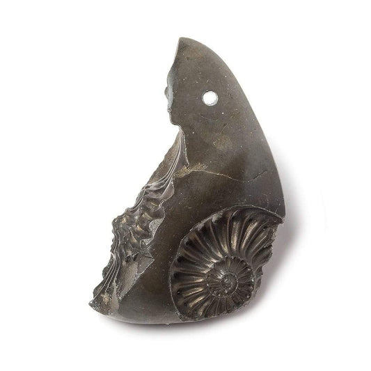 34x15mm Pyritized Ammonite  Fossil Focal Bead