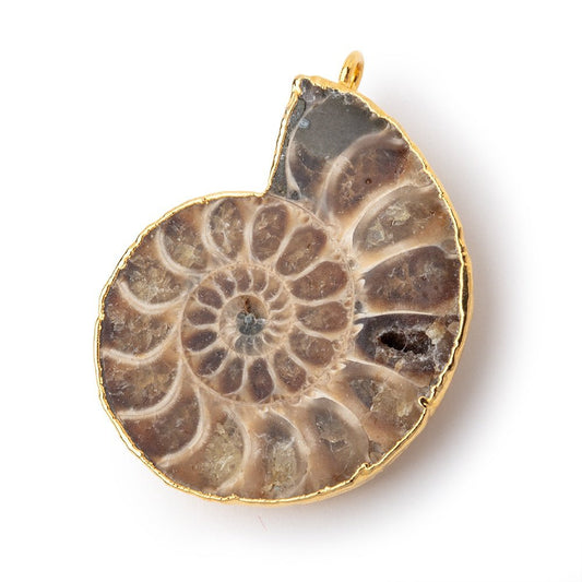 37.5x32mm Gold Leafed Ammonite Fossil Pendant 1 focal piece