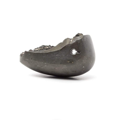 37x29mm Pyritized Ammonite Fossil Bead