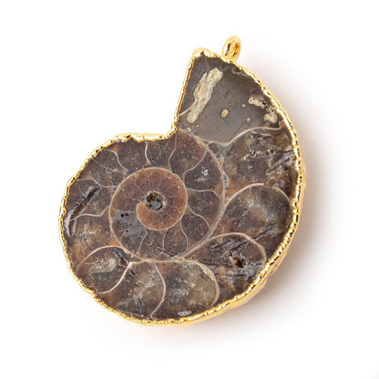 37x31mm Gold Leafed Ammonite Fossil Pendant 1 focal piece