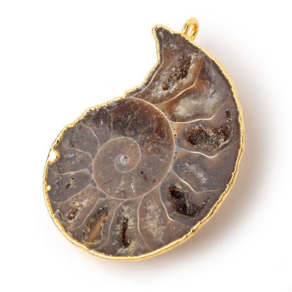 38x31.5mm Gold Leafed Ammonite Fossil Pendant 1 piece