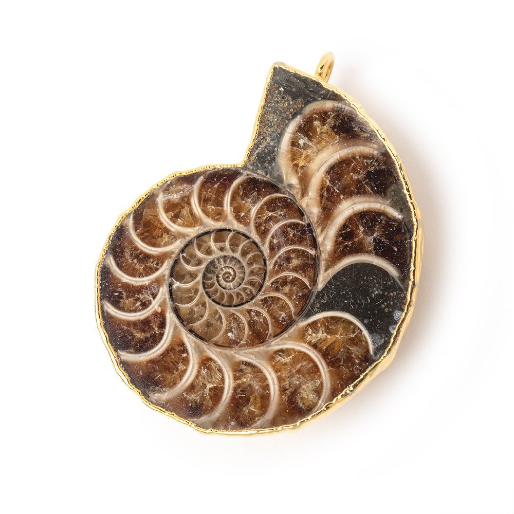 38x31mm Gold Leafed Ammonite Fossil Pendant 1 focal piece