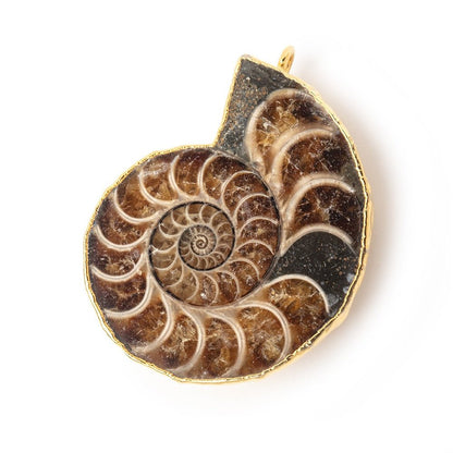 38x31mm Gold Leafed Ammonite Fossil Pendant 1 focal piece