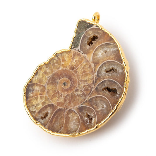 38x32.5mm Gold Leafed Ammonite Fossil Pendant 1 piece