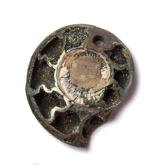 38x32mm Pyritized Ammonite  Fossil Focal Bead
