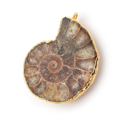 38x33mm Gold Leafed Ammonite Fossil Pendant 1 focal piece