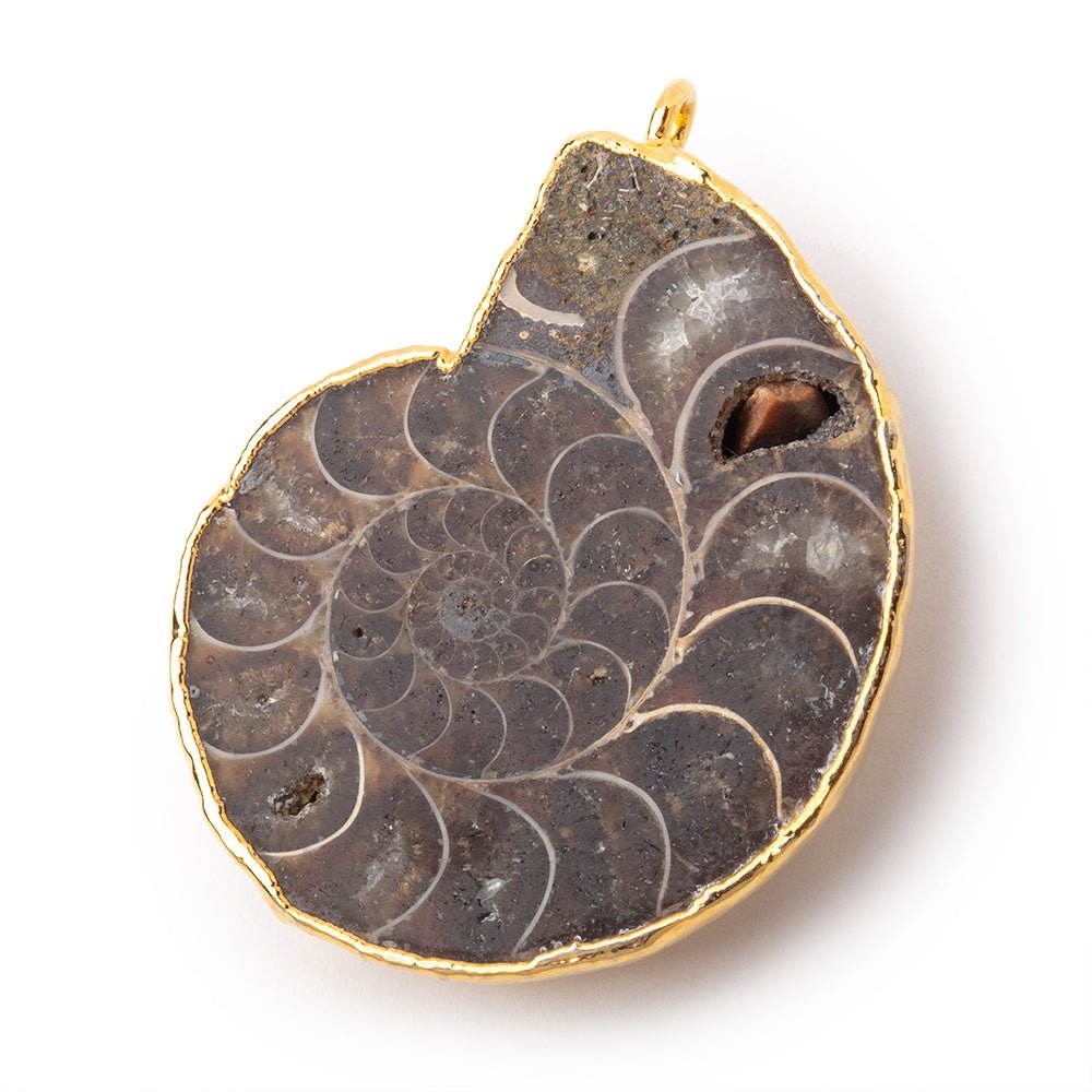 39.5x33mm Gold Leafed Ammonite Fossil Pendant 1 focal piece