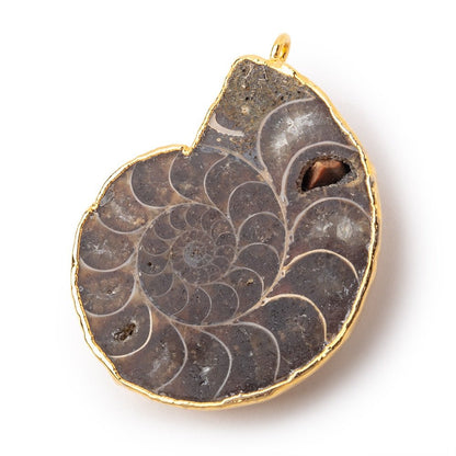 39.5x33mm Gold Leafed Ammonite Fossil Pendant 1 focal piece