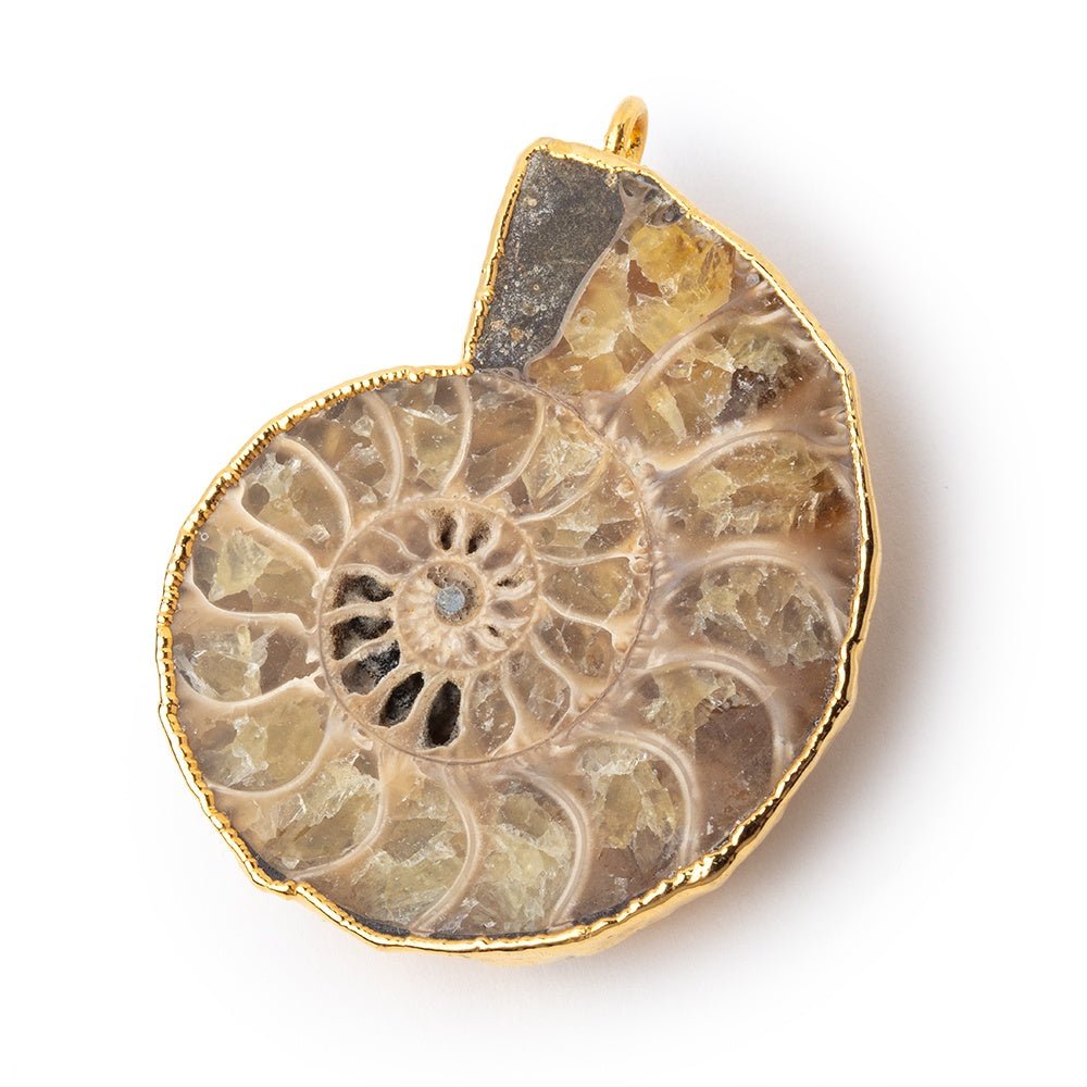 39.5x33mm Gold Leafed Ammonite Fossil Pendant 1 piece