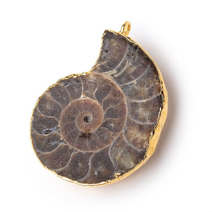 39x31mm Gold Leafed Ammonite Fossil Pendant 1 focal piece