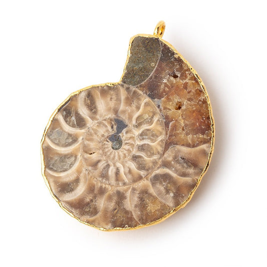 39x33mm Gold Leafed Ammonite Fossil Pendant 1 focal piece