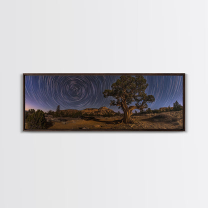 Time Lapse Photography Style Print, Panoramic Wall Art, Starry Night Sky Photo Print, Joshua Tree