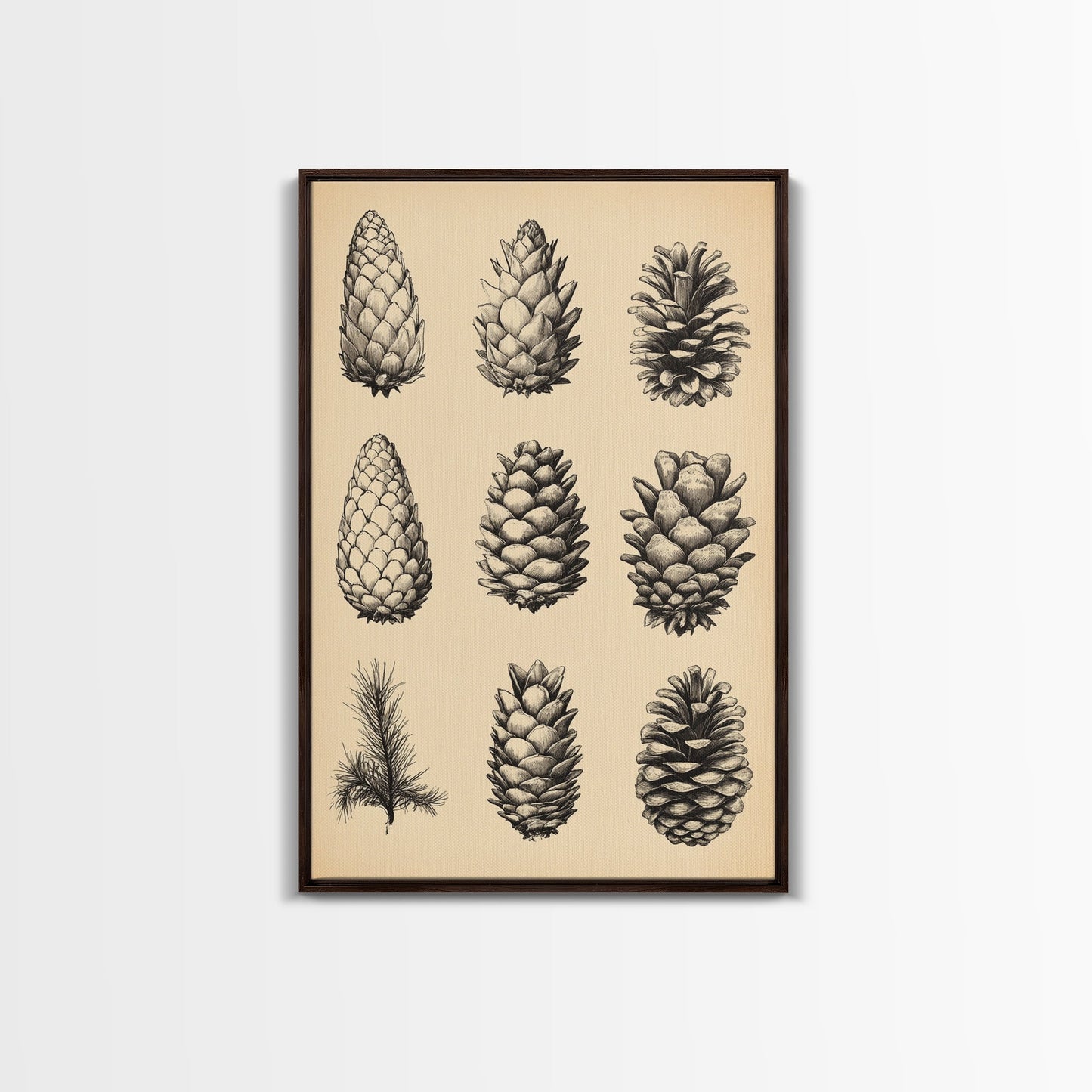 Vintage Pinecones Canvas Print - Framed Canvas - Minimalist Christmas Art - Boho Christmas Art - Rustic Christmas Art