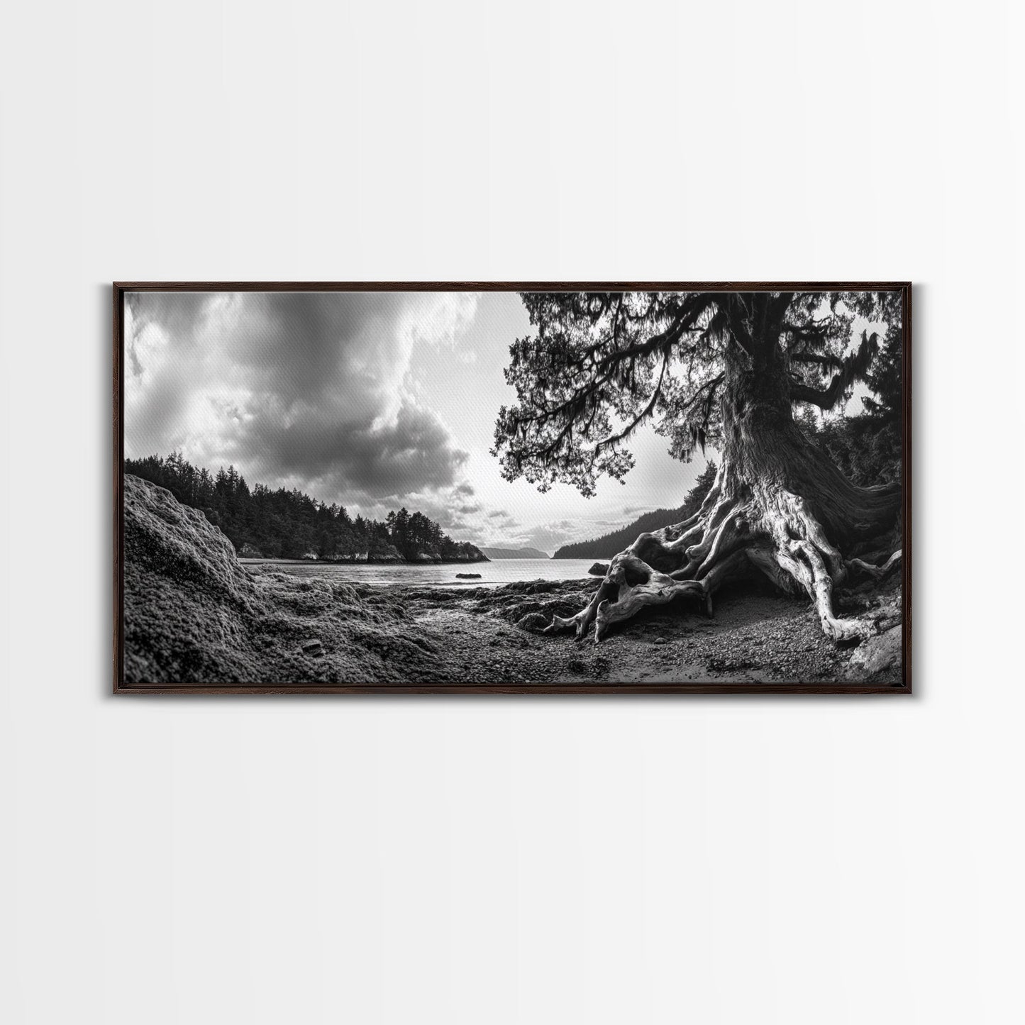 Coastal Tree Roots, Ancient Forest Shore, Pacific Northwest Nature, Moody Black and White Canvas Print, Cabin Wall Art, Woodland Style