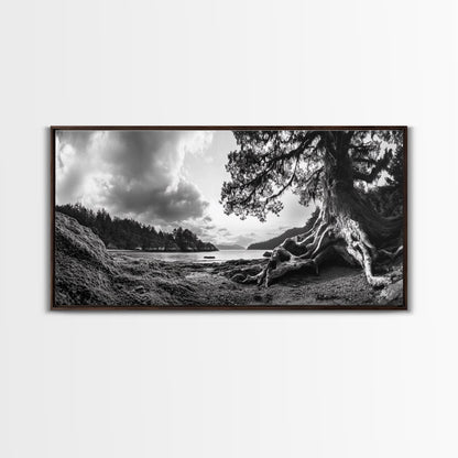 Coastal Tree Roots, Ancient Forest Shore, Pacific Northwest Nature, Moody Black and White Canvas Print, Cabin Wall Art, Woodland Style
