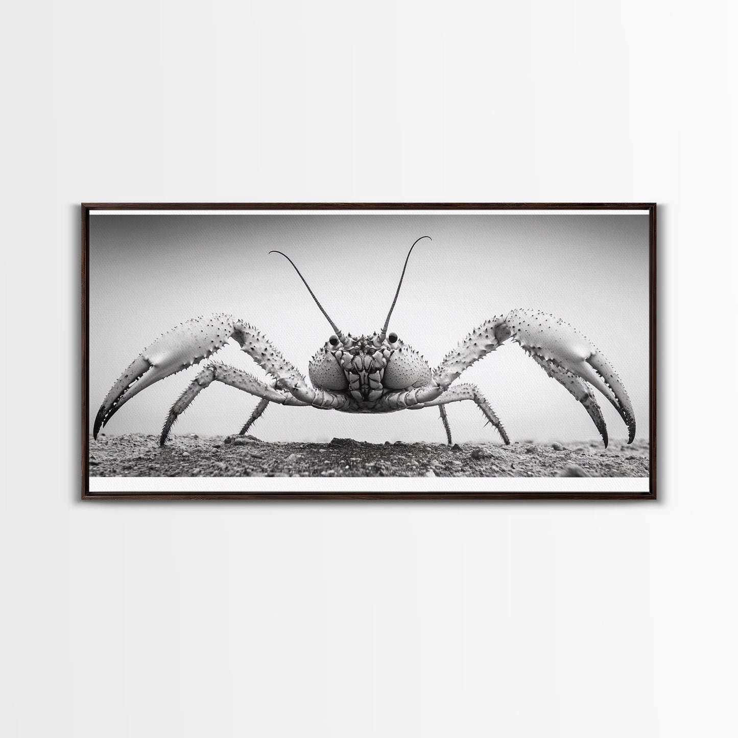 Crab Art, Beach Creature, Monochrome Photography, Nature Close-Up, Framed Canvas Print, Coastal Bathroom Art, Marine Home Style
