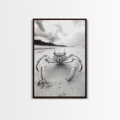 Beach Crab Portrait, Closeup Ocean Art, Tropical Minimalism, Coastal Creature Photo, Framed Canvas Print, Bathroom Wall Decor, Marine Decor