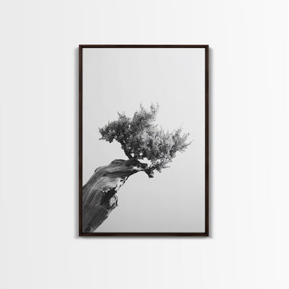 Bonsai Tree, Windswept Wood, Minimal Zen, Canvas Print, Japanese Style Art, Wabi Sabi Decor, Monochrome Botanical Wall Accent