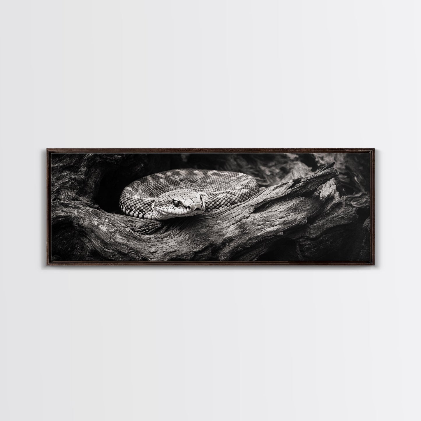 Coiled Rattlesnake, Wild Nature, Black and White, Canvas Print, Rustic Decor, Man Cave Wall Art, Cabin Style, Animal Photography, Moody Art