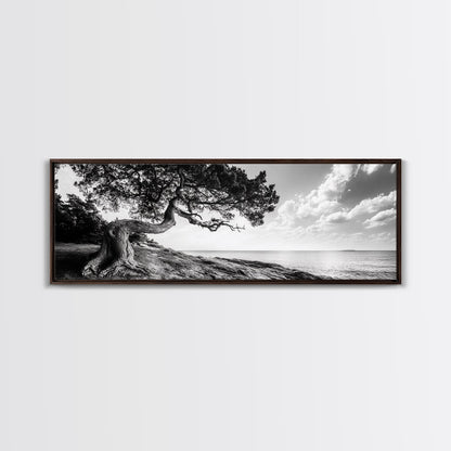 Coastal Tree, Wind Bent, Seaside Beauty, Nautical Serenity, Canvas Print, Nature Wall Art, Minimalist Decor, Coastal Living Room Art