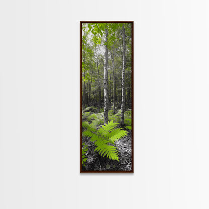 Birch Tree Forest, Green Ferns, Nature Escape, Framed Canvas Print, Botanical Art, Eco Wall Decor, Zen Forest Scene, Serene Living Room
