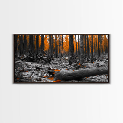 Autumn Forest Floor, Orange Leaves, Fall Nature Scene, Canvas Print, Rustic Wall Art, Cabin Decor, Moody Landscape Framed Canvas Print