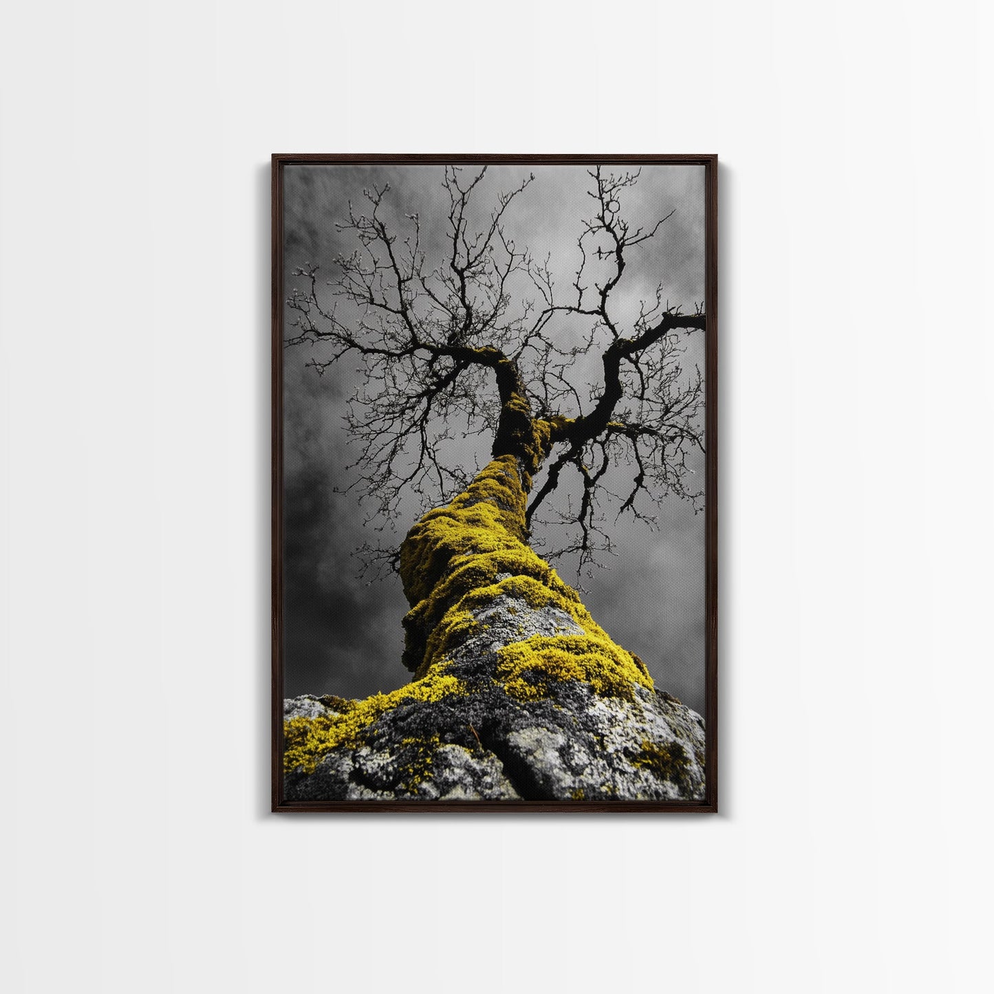 Moss Covered Tree, Dramatic Nature Scene, Autumn Forest Decor, Moody Woodland Art, Framed Canvas Print, Rustic Living Room Wall Art